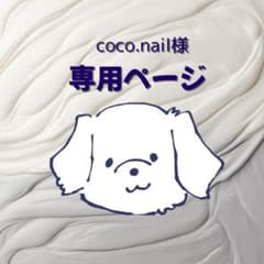 coco.nail様専用( *˙꒳˙* )のサムネイル