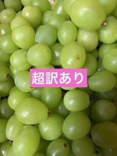 島根県産シャインマスカット超訳あり（10）のサムネイル