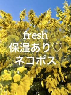 ◇フレッシュ保湿あり◇ ミモザ 花材詰め合わせ ドライフラワー