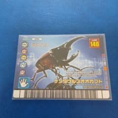 m70361060989_1.jpg?1780189615