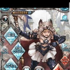 藤田渉吾様専用 グランブルーファンタジーのサムネイル