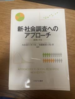 新・社会調査へのアプローチ 論理と方法のサムネイル