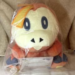 一番くじB賞ホゲータぬいぐるみのサムネイル