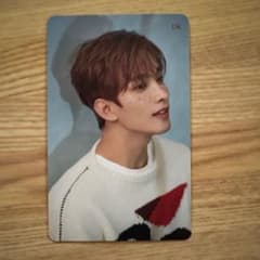 SEVENTEEN ドギョム 舞い落ちる花びら HMV 特典 - メルカリ