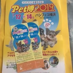 ちかもも様専用のサムネイル