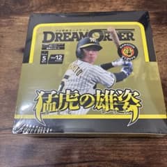 ドリームオーダー　猛虎の雄姿