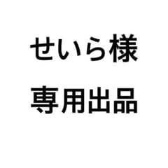 せいら様 専用出品のサムネイル