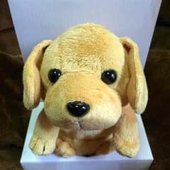 ウッドロウ様   こえマネわんちゃんのサムネイル
