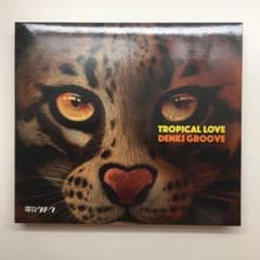【美品】初回限定盤 電気グルーヴ Tropical Love CD&DVD2枚組のサムネイル