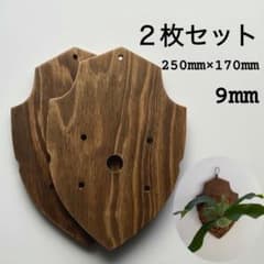 9mm] 着生板 2枚セット ビカクシダ コウモリラン 板付 園芸用品 91O