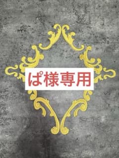ぱ様専用のサムネイル