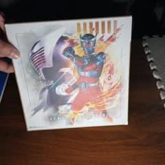 MASKED RIDER RYUKI 色紙のサムネイル