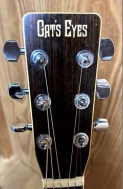 大文字ロゴ】 Cat's Eyes CE-250 JV ハードケース - メルカリ