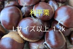岩手県産 生栗 Lサイズ以上 1.2kgのサムネイル