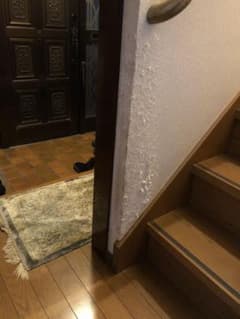 たかちゃん様専用 状況写真のサムネイル
