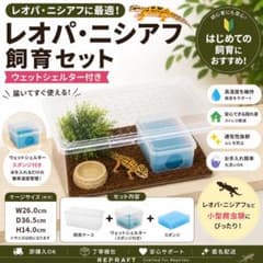 爬虫類ケージ シェルターセットレオパ ニシアフ トカゲ - メルカリ
