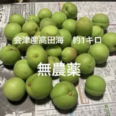 会津産高田海　無農薬無消毒青梅　約1キロのサムネイル