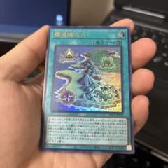 環境適応力 遊戯王 トレーディングカードのサムネイル