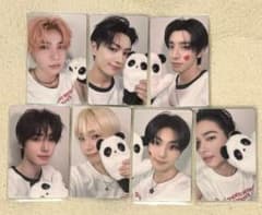 ENHYPEN yizhiyu 中華 一直娱 トレカ7枚コンプセット パンダ - メルカリ