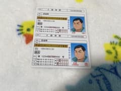 ハイキュー 入畑 バラエティカード