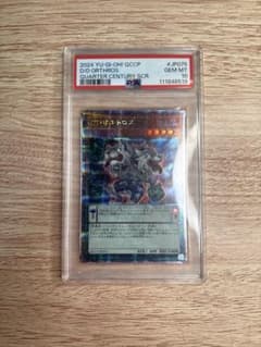 DDオルトロス PSA 10のサムネイル