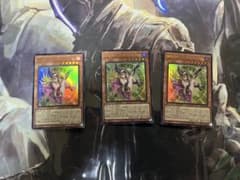 魔術師の弟子 ブラック・マジシャン・ガール　3枚のサムネイル