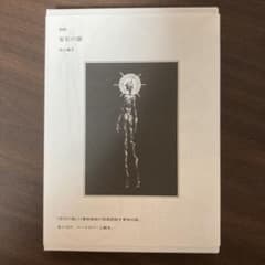 宝石の国 市川春子　11巻特装版の特典図説のサムネイル