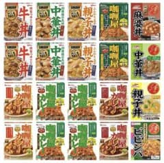 レトルト 食品 まとめ売り 20点 カレー 中華丼 親子丼 牛丼のサムネイル