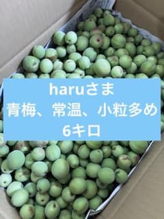 haruさま 青梅、常温、小粒多め 6キロ haruさま 青梅、常温、小粒多め 6キロ - メルカリ