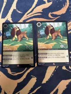 ロルカナ レディ foil 2枚セット - メルカリ
