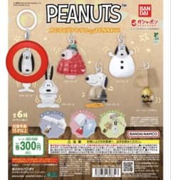 PEANUTS めじるしアクセサリー FUNNY ver. スヌーピーAのサムネイル