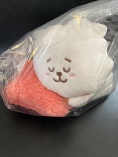 BTS  BT21  一番くじ 新品未開封  RJぬいぐるみのサムネイル