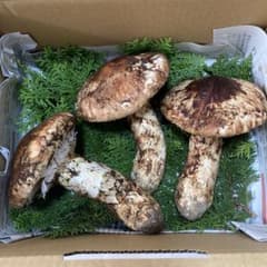 岩手県産 松茸 3本(510g) - メルカリ