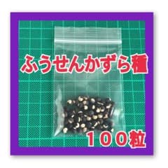 風船かずら種 100粒 - メルカリ