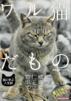 ワル猫だもの 南幅俊輔 Presents ムック本のサムネイル