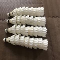 バトミントン シャトル 中古のサムネイル