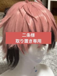 にじさんじ 赤城ウェン コスプレウィッグ - メルカリ