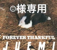 ☺︎様専用　juemiのサムネイル