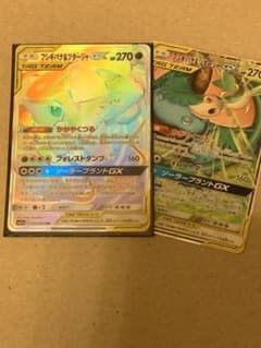 ポケモンカード フシギバナ&ツタージャGX hr rrセットのサムネイル
