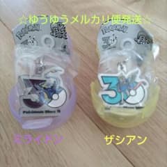 ポケモン 30周年 メタルチャームマスコット 2種セットのサムネイル