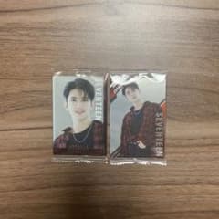 조슈아 SVT 트윈 웨이퍼