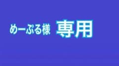 めーぷる様専用　ちびぬい　学ランのサムネイル