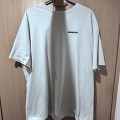 patagonia tシャツのサムネイル