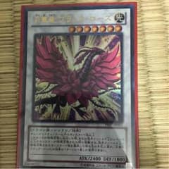 月華竜ブラックローズ 激安‼️のサムネイル