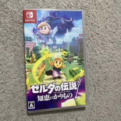 ゼルダの伝説: 知恵のかりもののサムネイル