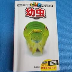 学研の図鑑LIVEポケット  幼虫のサムネイル