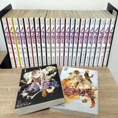 ノラガミ 1〜24巻セット - メルカリ