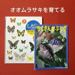 AMT様 リクエスト 3点 まとめ商品 - メルカリ
