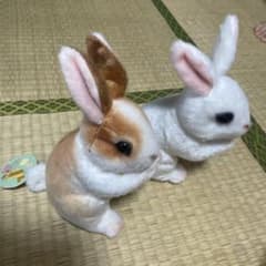 REAL RABBIT リアルな兎のぬいぐるみ 24cm 2体セットのサムネイル