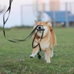 やましょ様専用のサムネイル